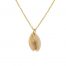 collar de oro con concha del mar natural